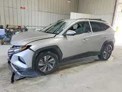 KM8JBCA13PU135432 2023 HYUNDAI TUCSON