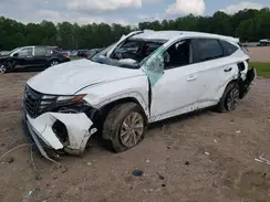 KM8JBCA14PU131888 2023 HYUNDAI TUCSON