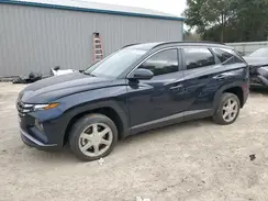 KM8JBCA15PU090204 2023 HYUNDAI TUCSON