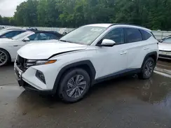KM8JBCA15PU096410 2023 HYUNDAI TUCSON
