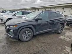 KM8JBCA15PU117496 2023 HYUNDAI TUCSON
