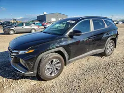 KM8JBCA15PU121452 2023 HYUNDAI TUCSON