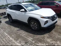 KM8JBCA16NU028260 2022 HYUNDAI TUCSON