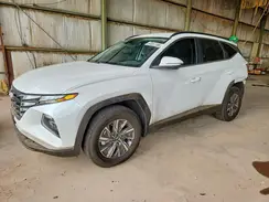 KM8JBCA16NU041767 2022 HYUNDAI TUCSON