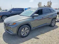 KM8JBCA16PU092267 2023 HYUNDAI TUCSON