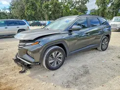 KM8JBCA16PU094813 2023 HYUNDAI TUCSON