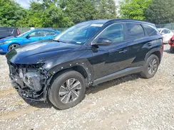 KM8JBCA16PU094861 2023 HYUNDAI TUCSON
