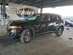 KM8JBCA16PU105776 2023 HYUNDAI TUCSON