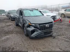 KM8JBCA16PU106149 2023 HYUNDAI TUCSON