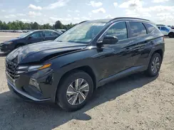KM8JBCA17NU075779 2022 HYUNDAI TUCSON