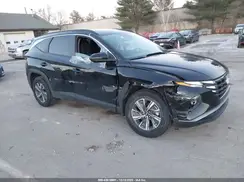 KM8JBCA17PU098238 2023 HYUNDAI TUCSON