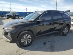 KM8JBCA18PU087488 2023 HYUNDAI TUCSON
