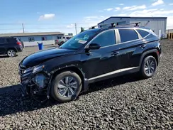 KM8JBCA18PU090438 2023 HYUNDAI TUCSON