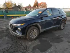 KM8JBCA18PU109425 2023 HYUNDAI TUCSON