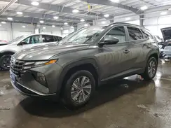 KM8JBCA19PU093218 2023 HYUNDAI TUCSON