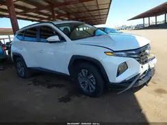 KM8JBCA19PU096801 2023 HYUNDAI TUCSON