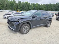 KM8JBCA19PU110017 2023 HYUNDAI TUCSON
