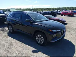 KM8JBCA19PU113855 2023 HYUNDAI TUCSON