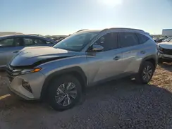 KM8JBCA19PU118196 2023 HYUNDAI TUCSON