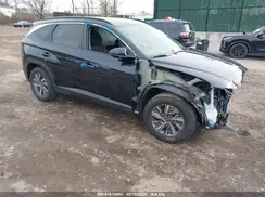 KM8JBCA1XPU086407 2023 HYUNDAI TUCSON