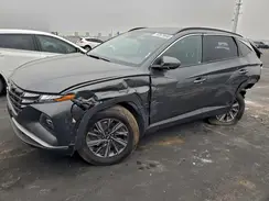 KM8JBCA1XPU100306 2023 HYUNDAI TUCSON
