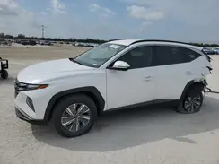 KM8JBCA1XPU104081 2023 HYUNDAI TUCSON