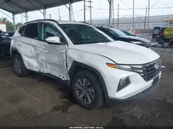 KM8JBCA1XPU109765 2023 HYUNDAI TUCSON