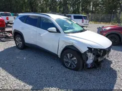 KM8JBCA1XPU113640 2023 HYUNDAI TUCSON