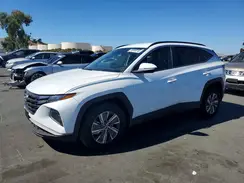 KM8JBCA1XPU118918 2023 HYUNDAI TUCSON