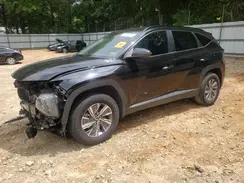KM8JBCA1XPU123505 2023 HYUNDAI TUCSON