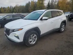 KM8JBCAE0NU115753 2022 HYUNDAI TUCSON
