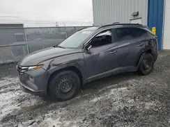 KM8JBCAE1PU172370 2023 HYUNDAI TUCSON