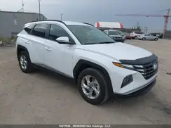 KM8JBCAE2PU173429 2023 HYUNDAI TUCSON