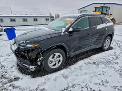KM8JBCAE3NU075443 2022 HYUNDAI TUCSON