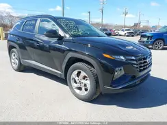 KM8JBCAE3PU195939 2023 HYUNDAI TUCSON