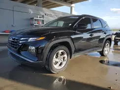 KM8JBCAE3PU224839 2023 HYUNDAI TUCSON