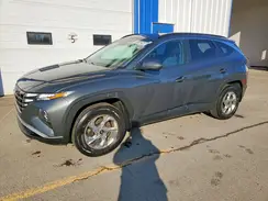 KM8JBCAE3PU236716 2023 HYUNDAI TUCSON