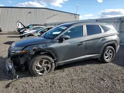 KM8JBCAE3PU243116 2023 HYUNDAI TUCSON