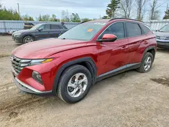 KM8JBCAE3PU250423 2023 HYUNDAI TUCSON