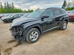 KM8JBCAE4PU229600 2023 HYUNDAI TUCSON
