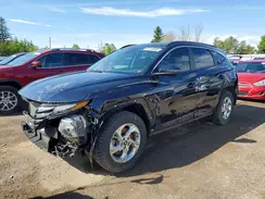 KM8JBCAE5PU259088 2023 HYUNDAI TUCSON