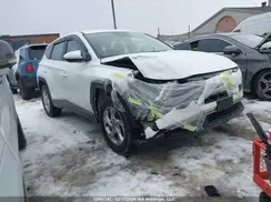 KM8JBCAE6NU038399 2022 HYUNDAI TUCSON