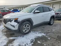 KM8JBCAE6PU236774 2023 HYUNDAI TUCSON