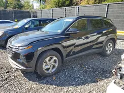 KM8JBCAE6PU246320 2023 HYUNDAI TUCSON