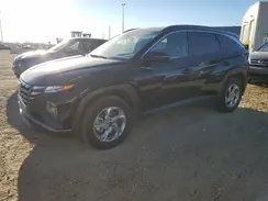 KM8JBCAE8NU149956 2022 HYUNDAI TUCSON