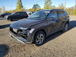 KM8JBCAE8PU251275 2023 HYUNDAI TUCSON