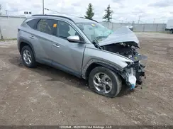 KM8JBCAE8PU251731 2023 HYUNDAI TUCSON