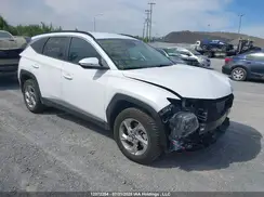 KM8JBCAE9PU240558 2023 HYUNDAI TUCSON