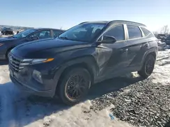 KM8JBCAEXNU036204 2022 HYUNDAI TUCSON