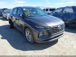 KM8JBCAEXPU204054 2023 HYUNDAI TUCSON